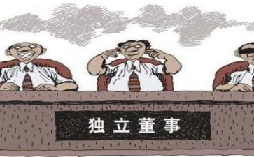 公司董事述职报告6篇