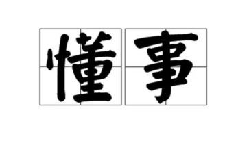 我懂事啦作文5篇