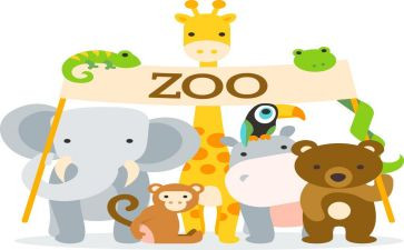 我动物作文300字8篇