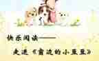 小豆豆读书心得模板8篇