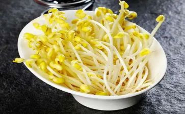 豆芽生长记作文参考6篇