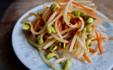 种豆芽炒豆芽作文5篇