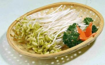 炒豆芽作文模板8篇