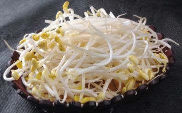 种豆芽炒豆芽作文参考8篇