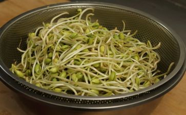 炒豆芽作文5篇