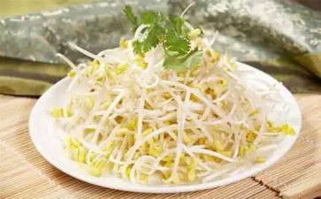 种豆芽炒豆芽作文推荐7篇