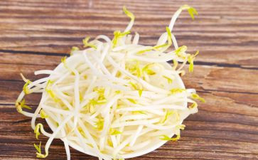 生豆芽炒豆芽作文优质5篇