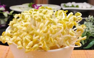 生豆芽炒豆芽作文8篇