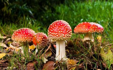 禁毒进学校活动方案5篇