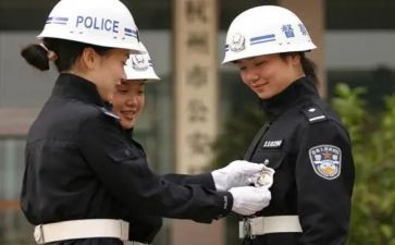 督察科工作总结5篇