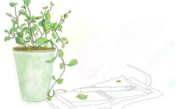 《长征》读后感作文5篇