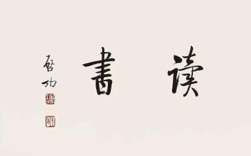 岛的读后感800字通用6篇