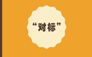 小学对标对表活动总结推荐5篇