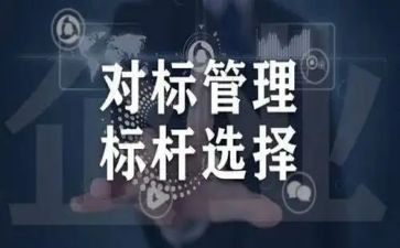 公司领导对标工作总结通用8篇