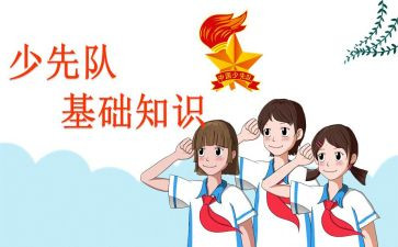 2024队课观后感优质5篇