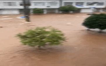 防汛安全自查报告7篇