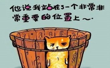 圆教案反思推荐8篇