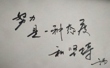 轻与重教案反思8篇