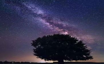 《繁星春水》的读后感优质8篇