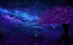 读《繁星》心得体会优质6篇