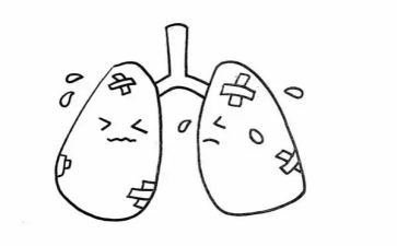 我是肺作文8篇