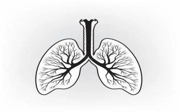 我是肺作文参考8篇