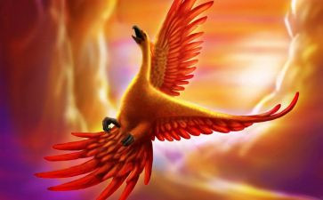 凤凰桥作文模板6篇