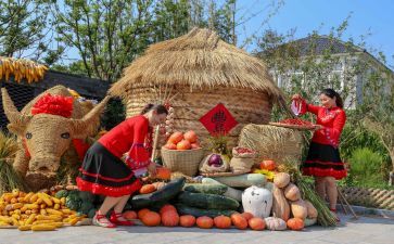 苹果丰收了教案5篇