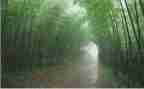 冲过风雨作文600字7篇