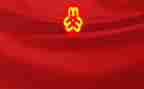 2024年妇联的述职报告精选7篇