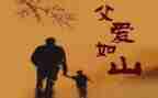 读父亲的爱读后感500字6篇