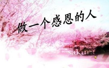 2024年感恩节活动方案优秀7篇