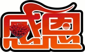 2024感恩节活动方案优质8篇