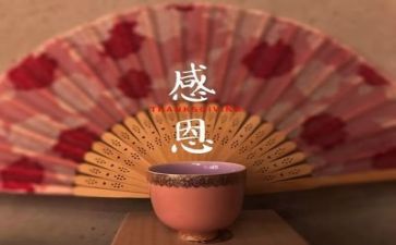 感恩教师演讲稿最新8篇