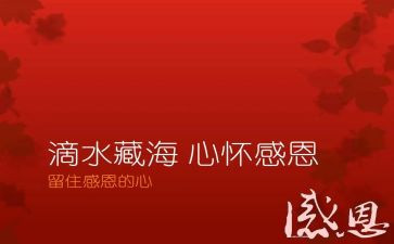 对祖国感恩话演讲稿5篇
