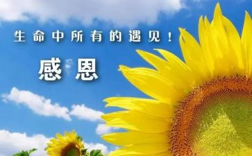 感谢作文500字模板5篇