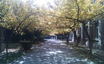 高校教师心得体会7篇