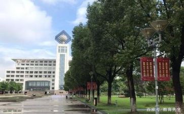 2024年高校述职报告5篇