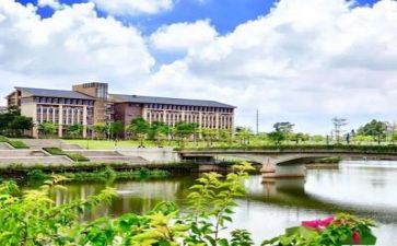 2024高校教师心得体会范文7篇