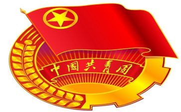 做合格共青团员之心得体会7篇