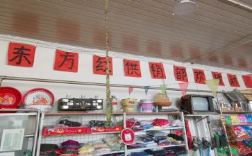2024年县供销社工作总结6篇