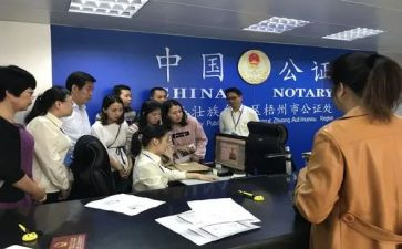 公证处工作总结8篇