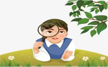 学会观察作文6篇
