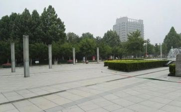 蟋蟀广场的蟋蟀读后感7篇