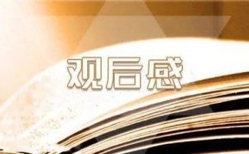 技能成才技能强国观后感6篇