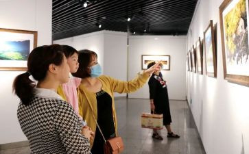 观展心得体会300字推荐7篇
