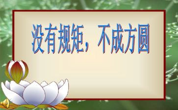 懂纪律守规矩心得体会7篇