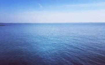海关心得体会5篇