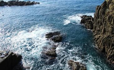 海参购销合同6篇