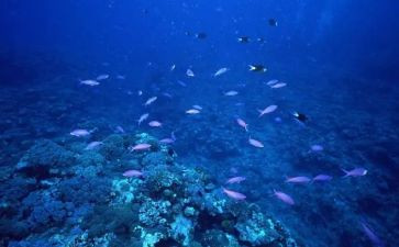 海底捞读后感600字7篇